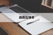 政府投资比特币_政府比特币