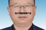 宝石花张小军简介_张小军区块链产业