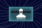 区块链系统测试_区块链生态液压测试