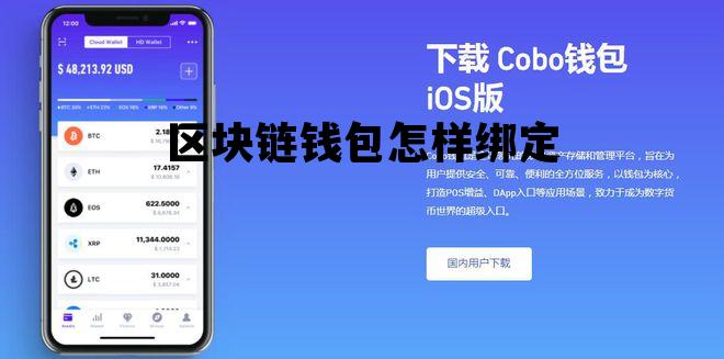 区块链怎么支付_区块链钱包怎样绑定