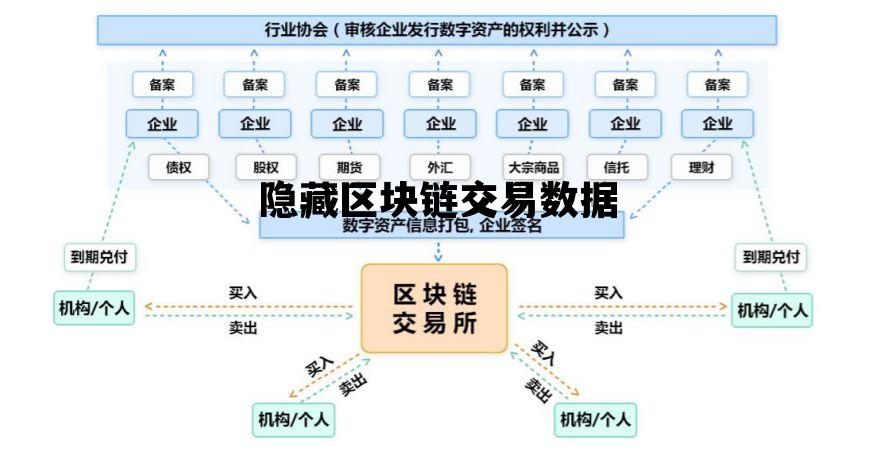 隐藏区块链交易数据的软件_隐藏区块链交易数据