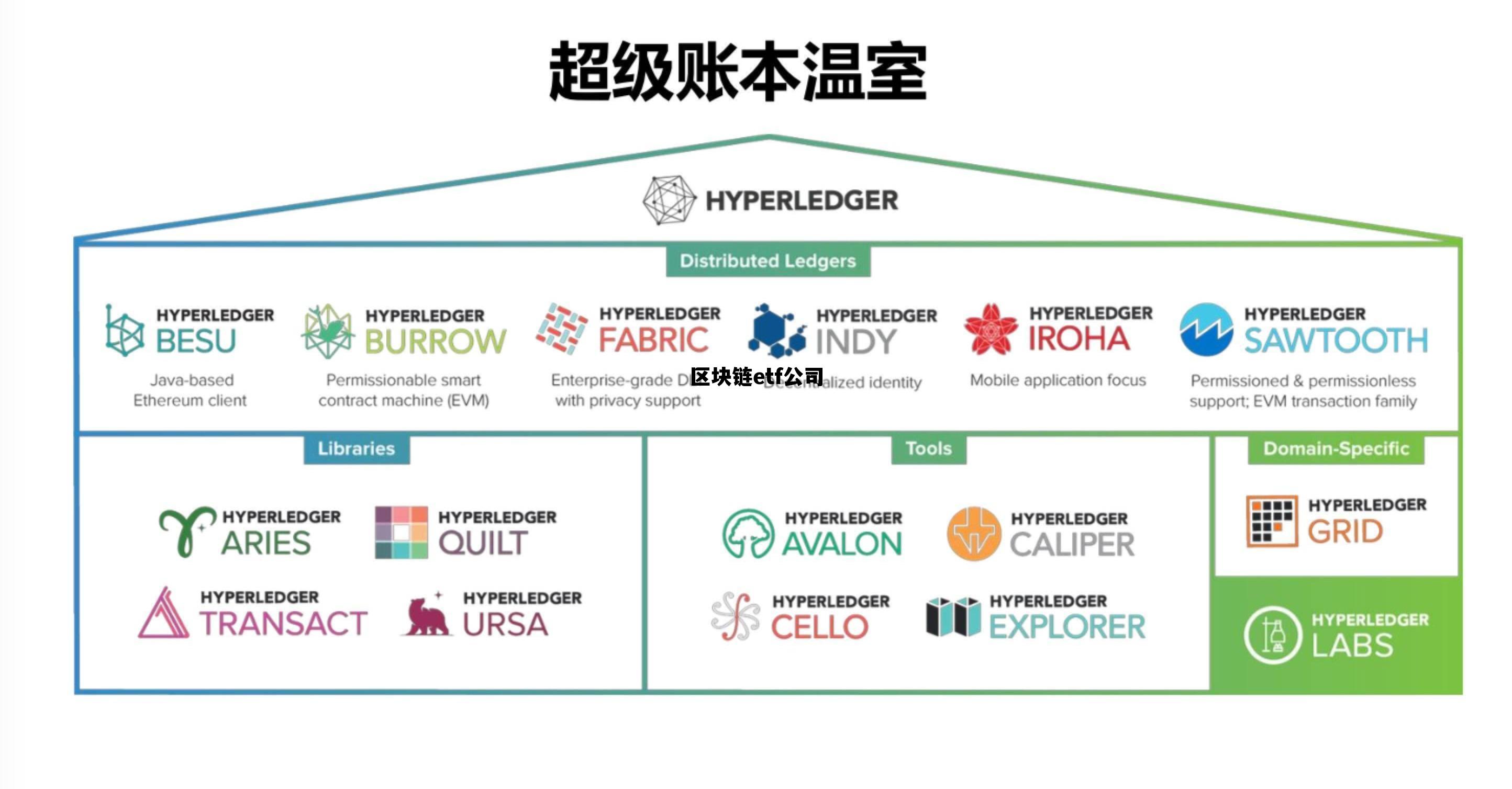区块链etf基金有哪些_区块链etf公司