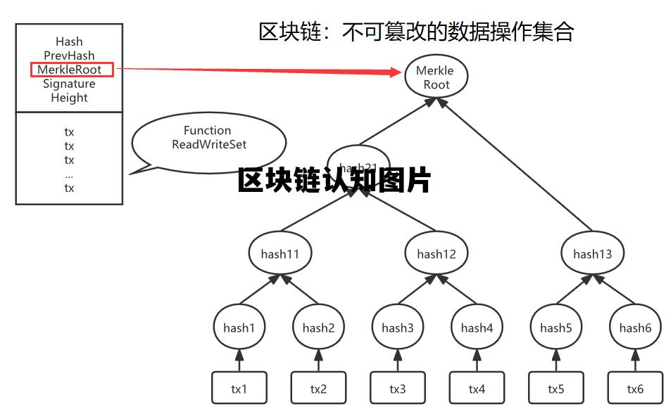 区块链的认识_区块链认知图片