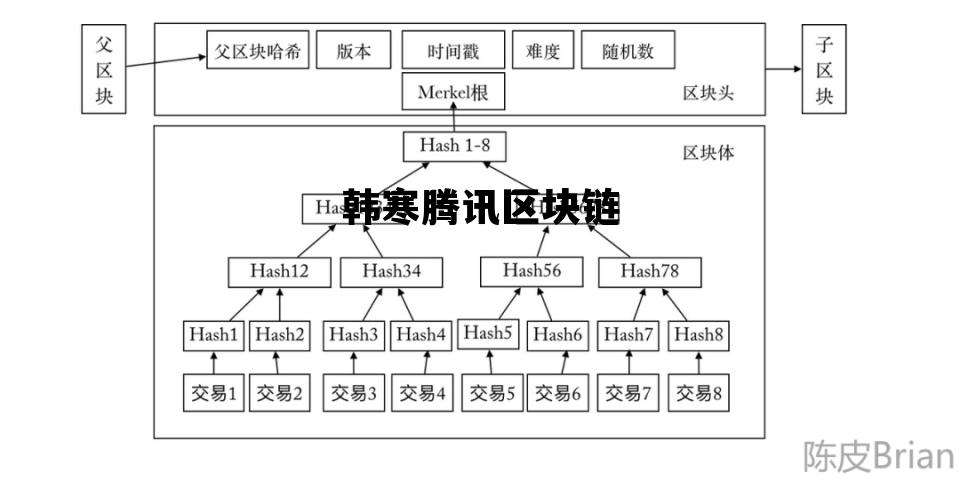 usdt区块链查询官网_韩寒腾讯区块链 usdt区块链查询官网_韩寒腾讯区块链