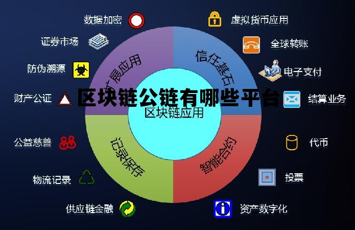 区块链公链是啥意思_区块链公链有哪些平台