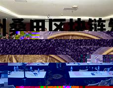 广田集团中标公告_沧州桑田区块链发展 广田集团中标公告_沧州桑田区块链发展