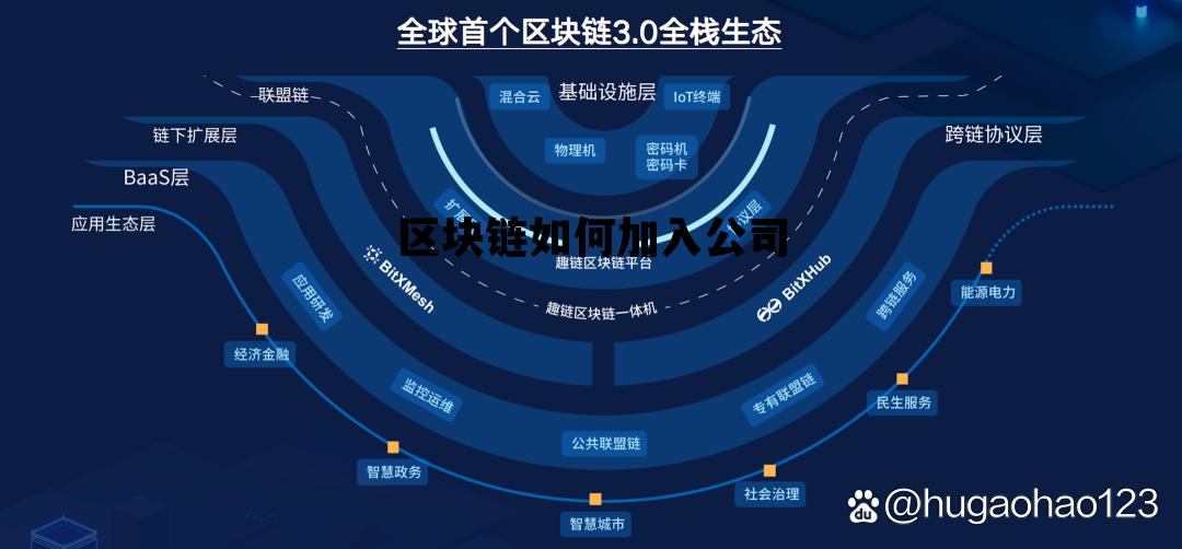 如何加入区块链节点_区块链如何加入公司 如何加入区块链节点_区块链如何加入公司