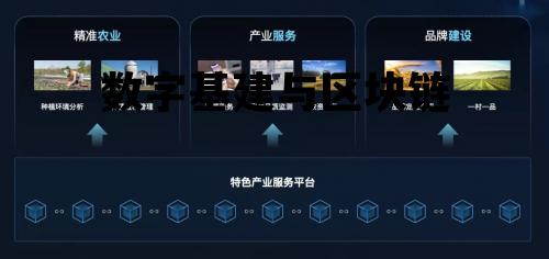 区块链和数字_数字基建与区块链